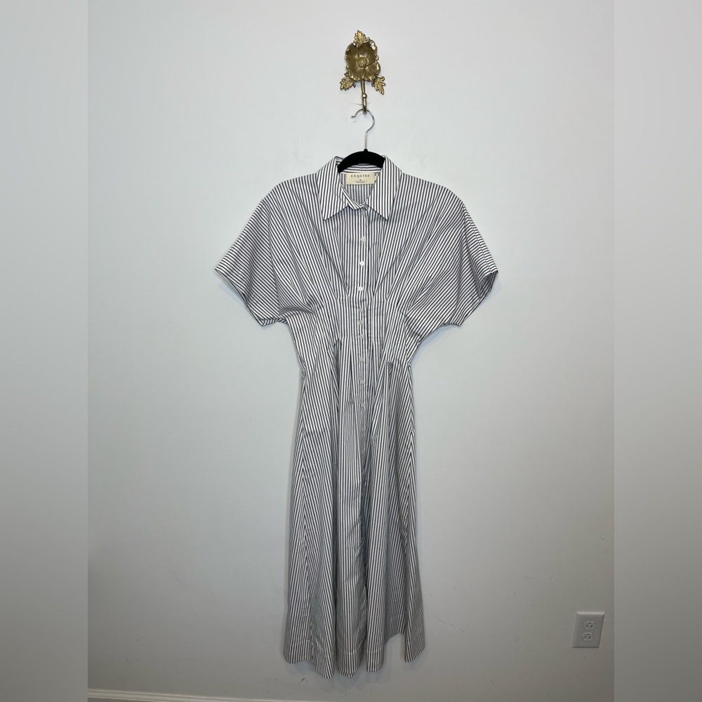 Exquise Anthropologie Shirt Dress Stripe Tobie Button Front Pleated Size XS P
